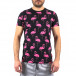 Мъжка черна тениска Big Flamingo tr250322-43 2