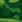 Зелен камуфлаж